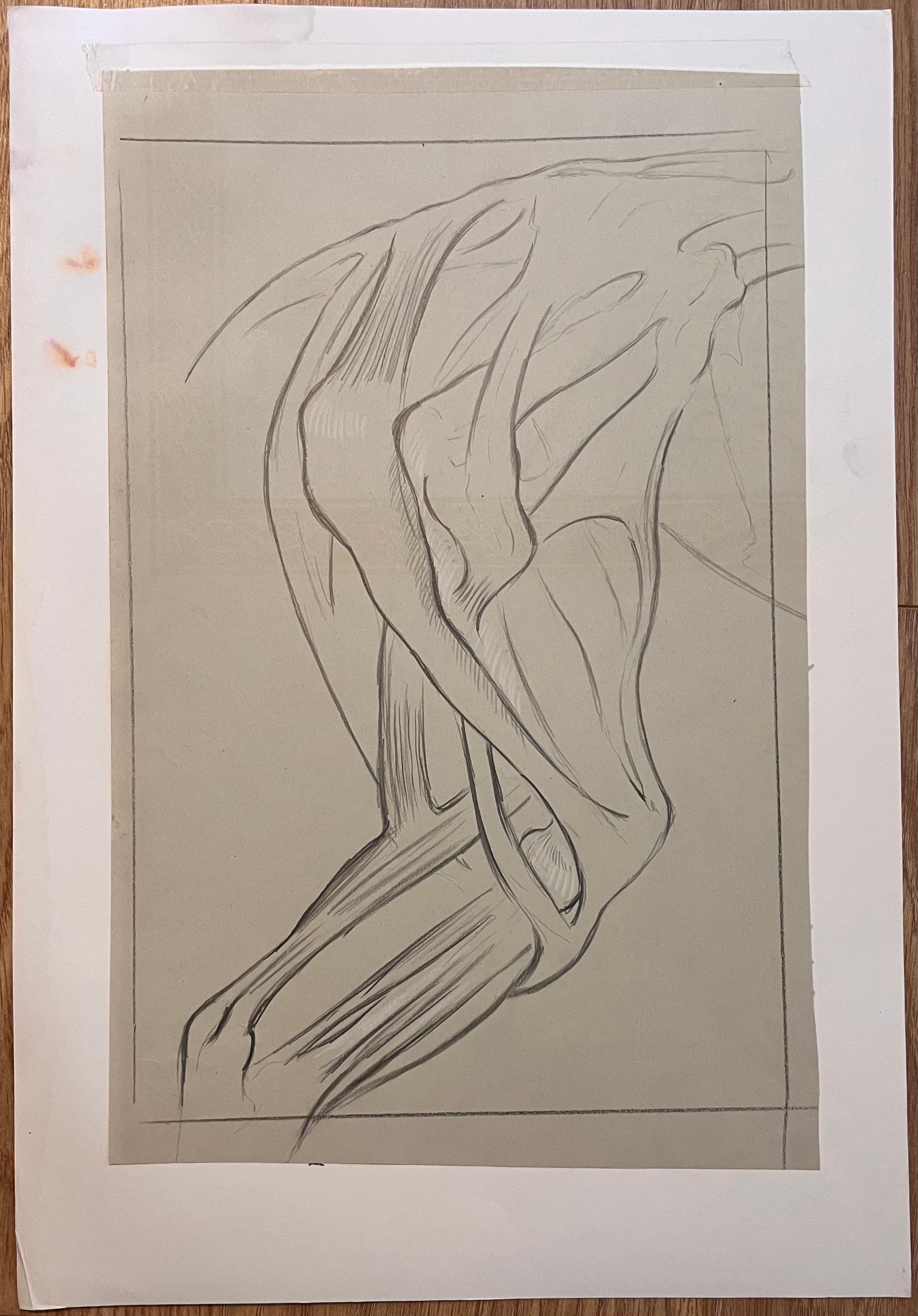 Studio anatomico originale francese delle zampe posteriori di un cavallo - Painting di Robert Ladou