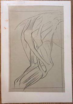 Étude anatomique française d'origine des pieds d'obstacle d'un cheval