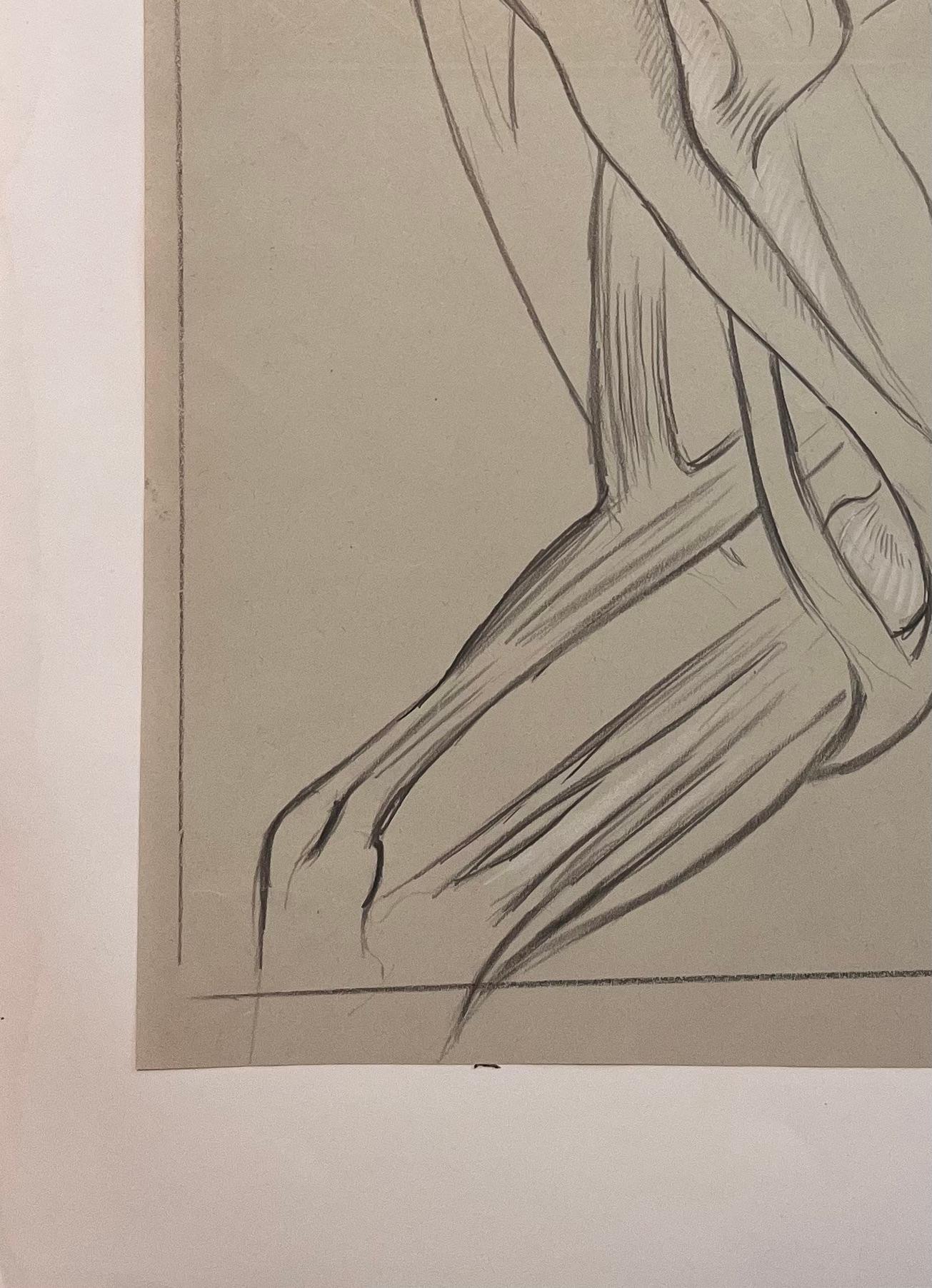 Studio anatomico originale francese delle zampe posteriori di un cavallo in vendita 1