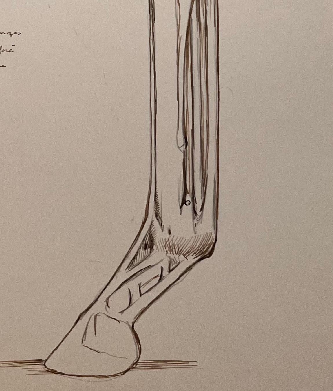 Title: Original French Anatomical Study of a Horse's Leg
Artist: Robert Ladou (French, 1929-2014)
Medium: Pen and Pencil on paper
Size: 20 (Height) x 13.25 (Width)
Signed: No
Condition: Good, with minor signs of aging
Provenance: From the artist's