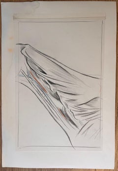 Étude anatomique française d'une jambe de cheval