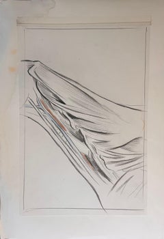 Französische Anatomische Studie eines Pferdegemäldes, Original