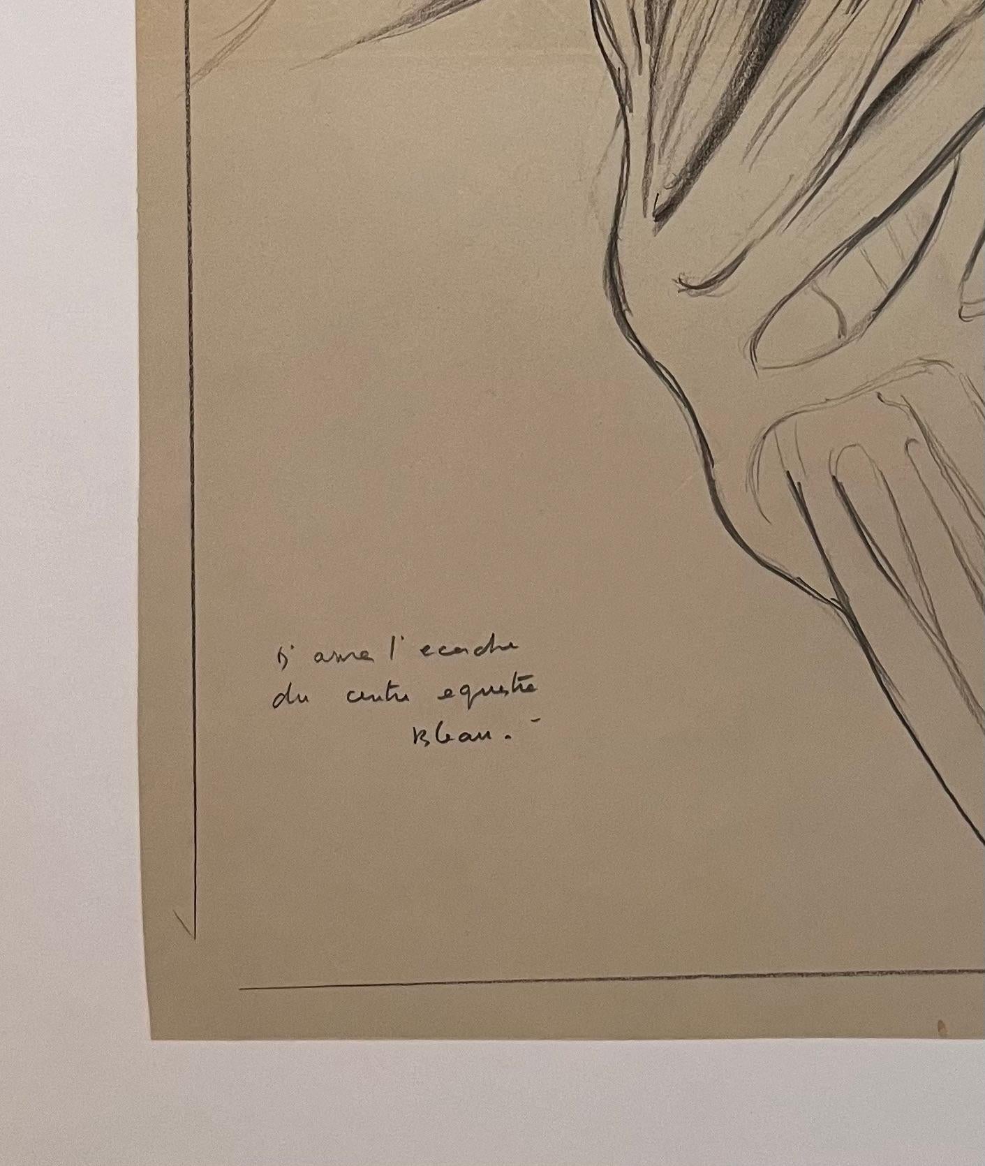 Studio anatomico originale francese della spalla di un cavallo in vendita 1