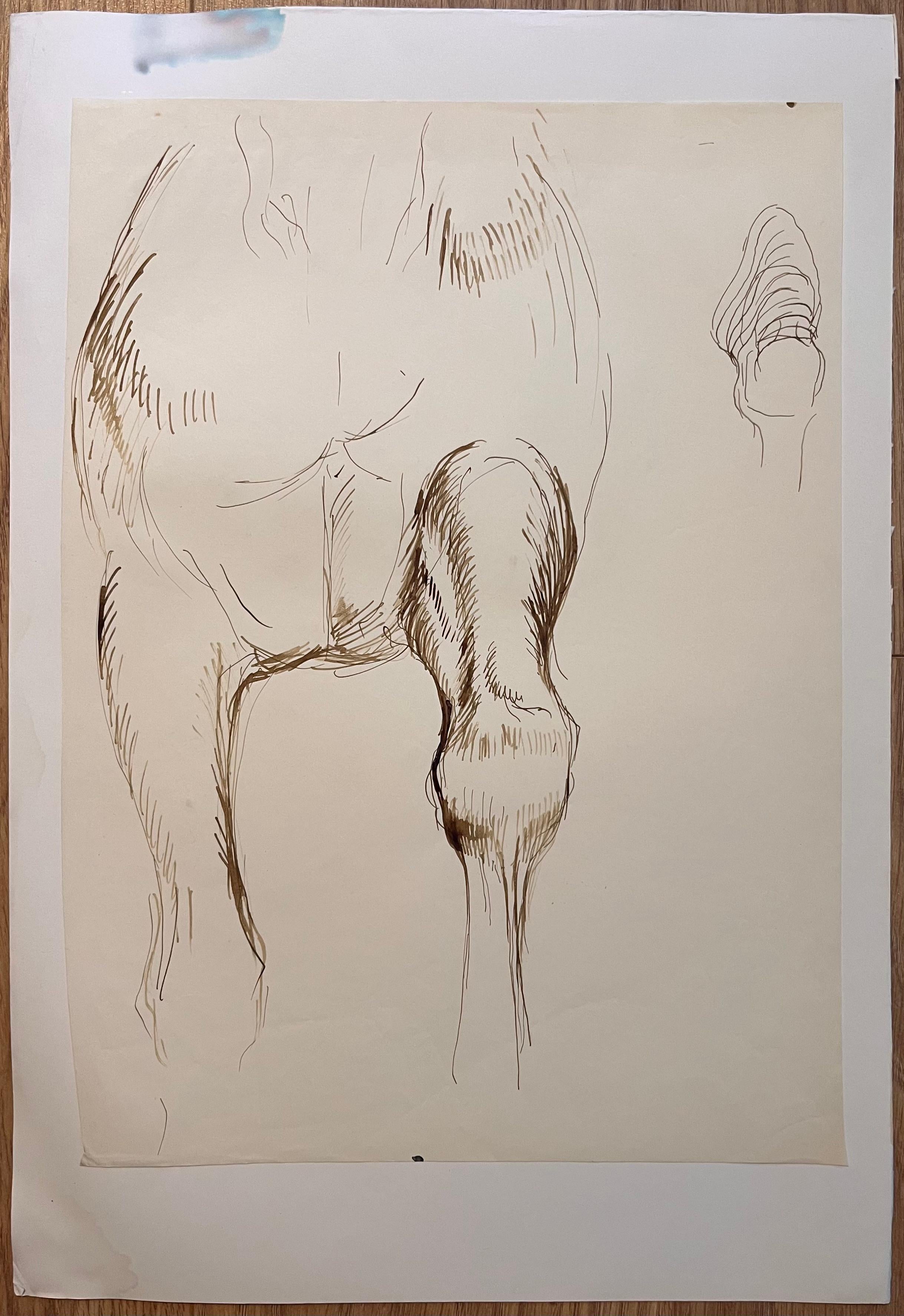 Studio anatomico francese originale della falcata di un cavallo - Painting di Robert Ladou