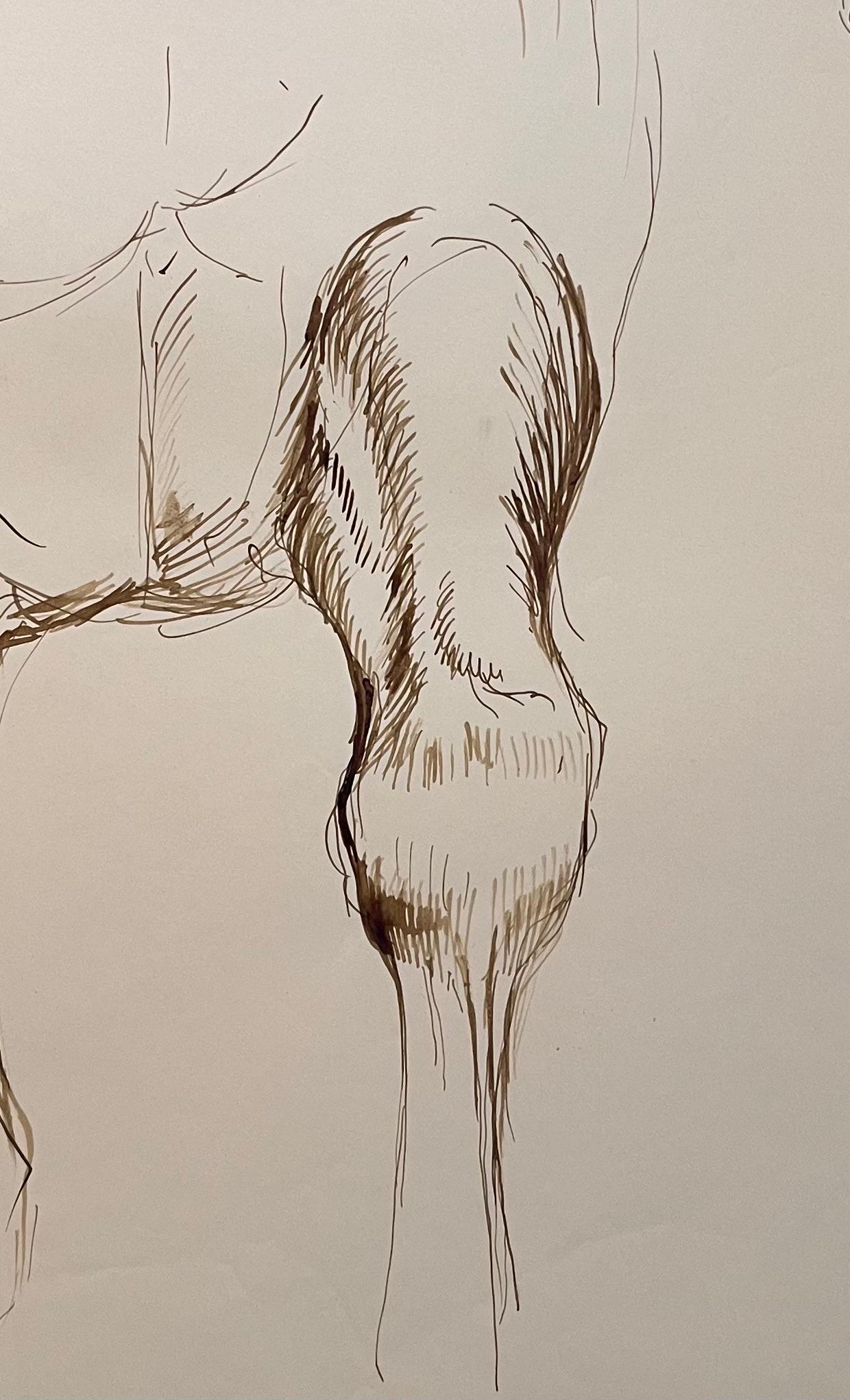 Titolo: Studio anatomico originale francese della falcata del cavallo
Artista: Robert Ladou (francese, 1929-2014)
Mezzo: Penna su carta
Dimensioni: 20 (altezza) x 13,75 (larghezza)
Firmato: No
Condizioni: Buono, condizioni moderate con leggero