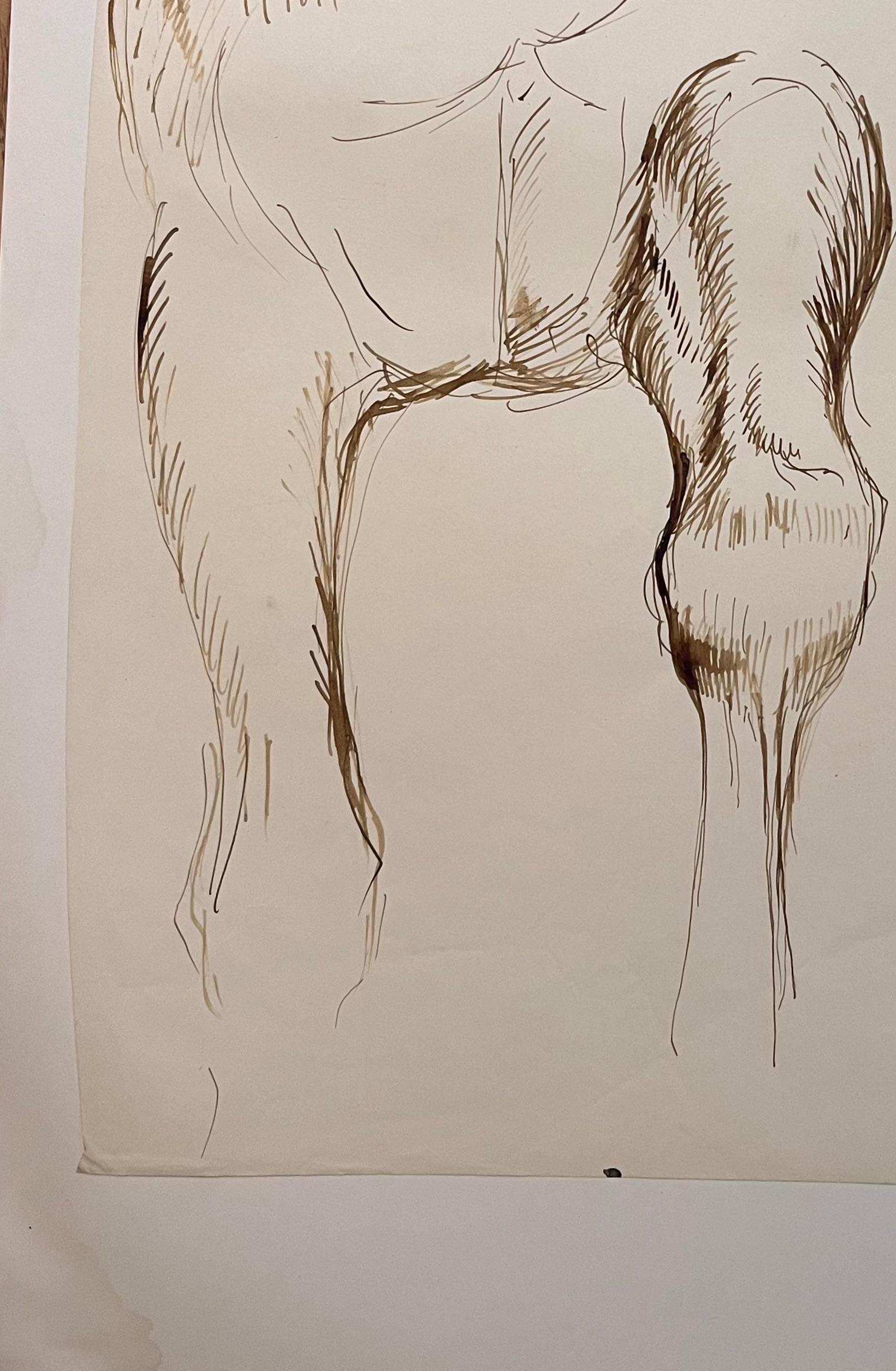 Studio anatomico francese originale della falcata di un cavallo in vendita 1