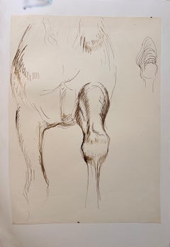 Estudio anatómico original francés de la zancada de un caballo