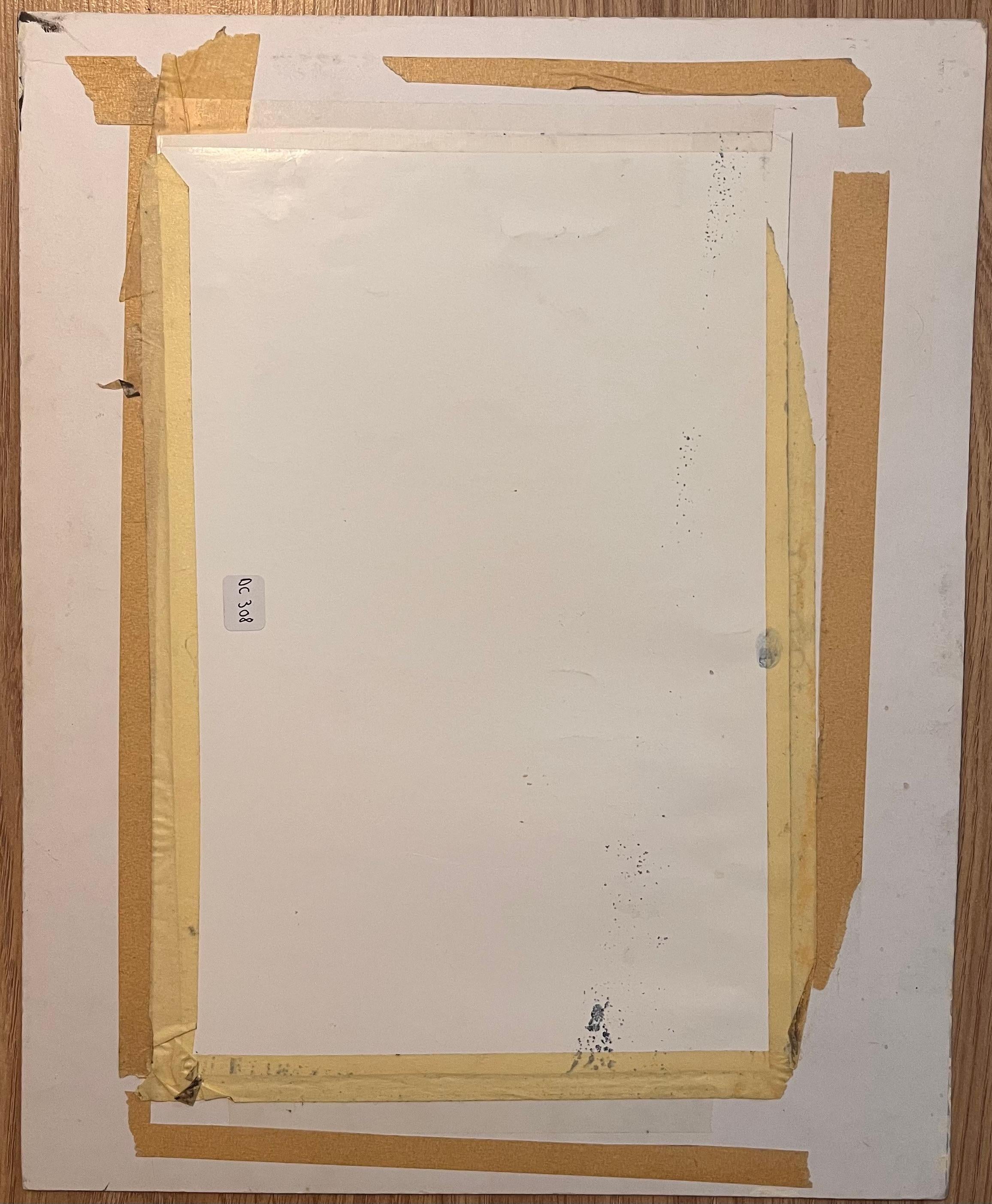 Studio anatomico originale francese degli occhi del cavallo in vendita 1