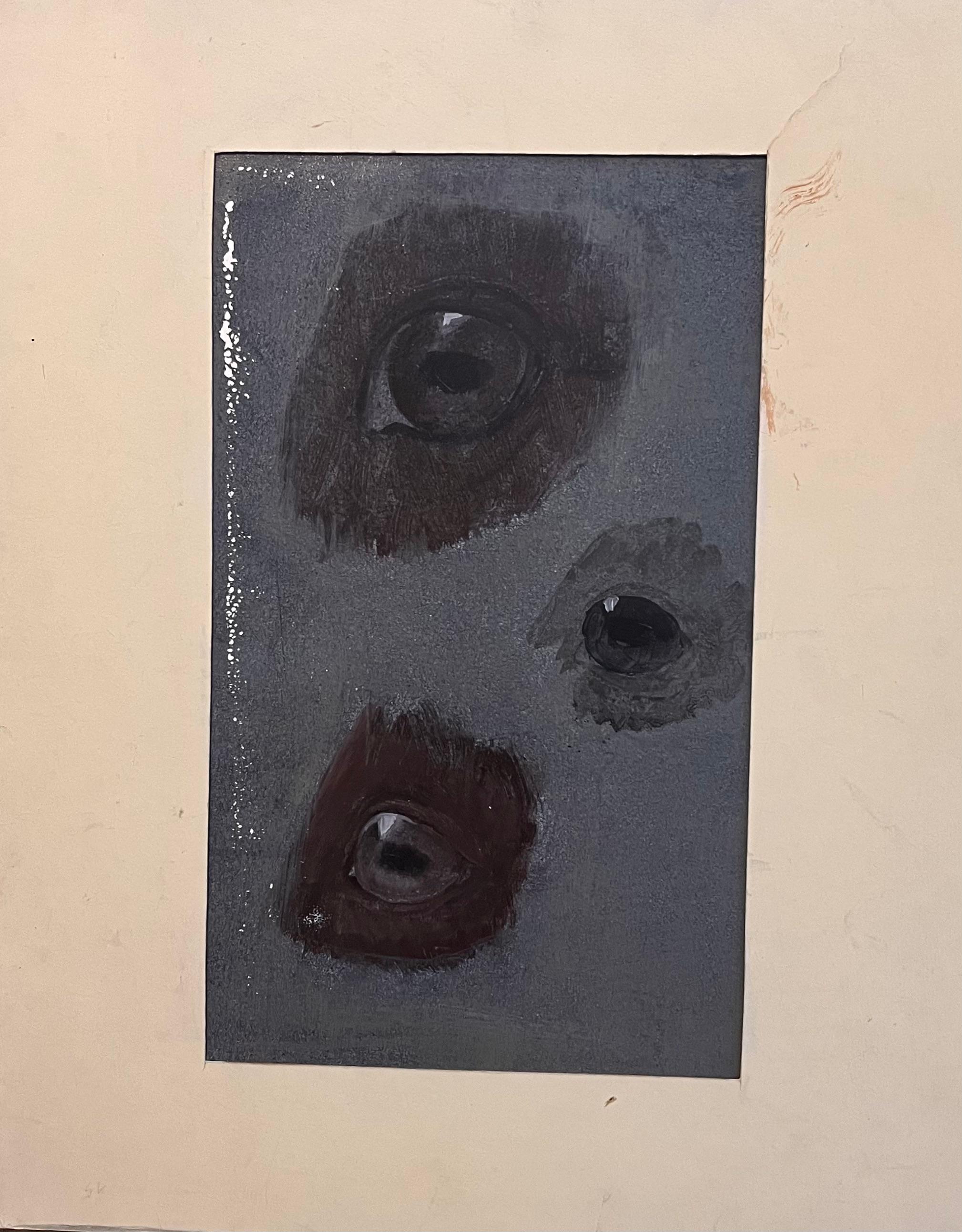 Studio anatomico originale francese degli occhi del cavallo