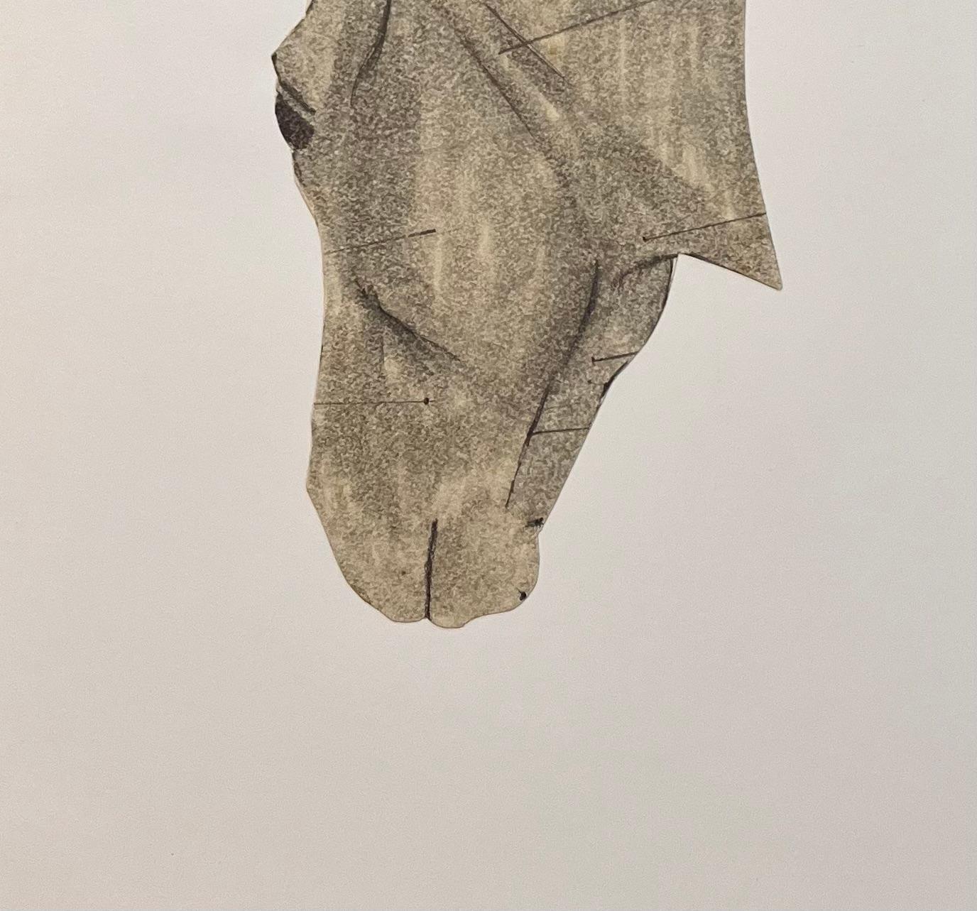 Title: Original French Anatomical Study of Horse's Head
Artist: Robert Ladou (French, 1929-2014)
Medium: Oil pastel on paper
Size: 11.75 (Height) x 8.25 (Width)
Signed: No
Condition: Good
Provenance: From the artist's estate

Description:
This