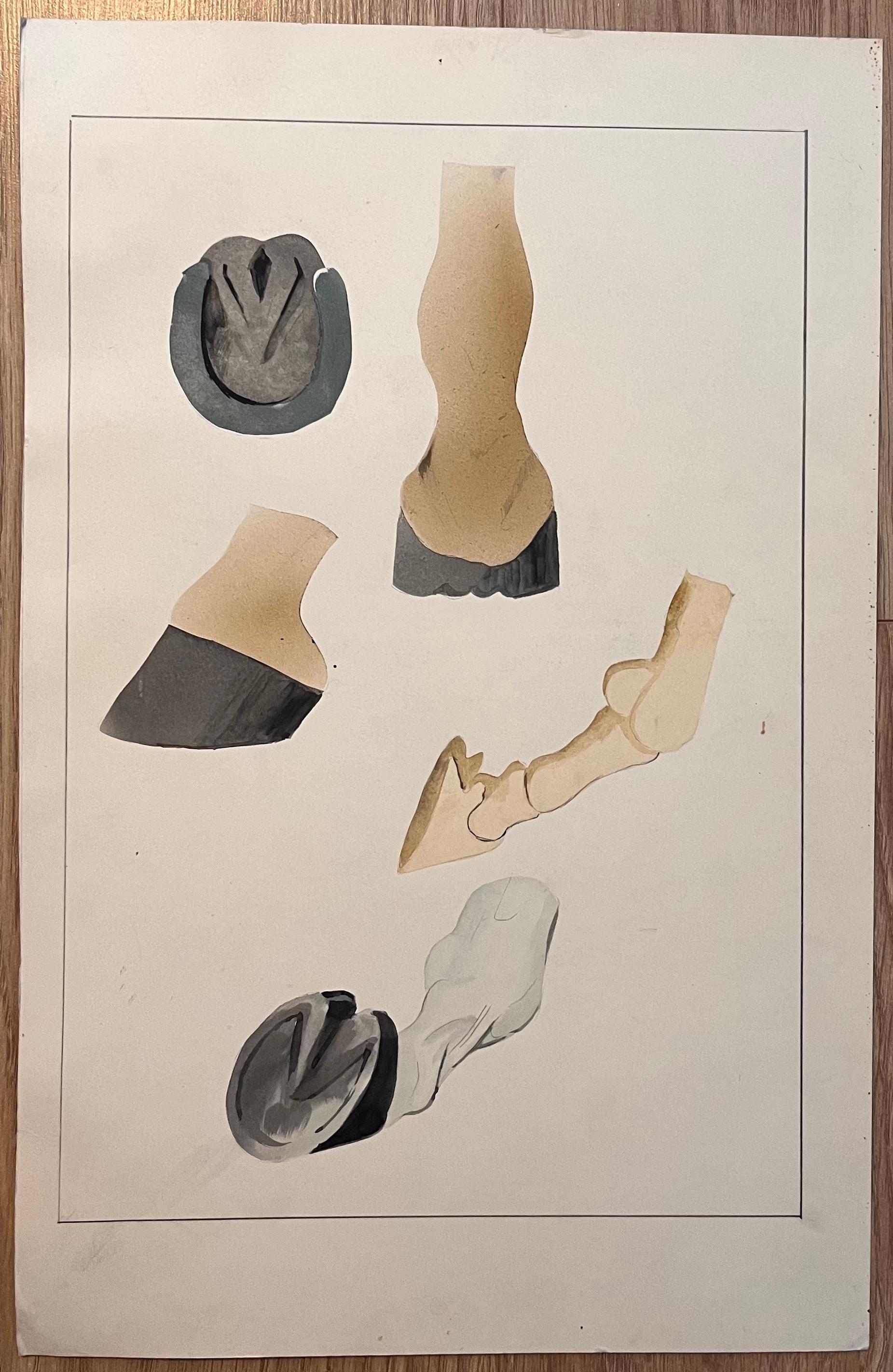 Estudio anatómico original francés del casco del caballo - Art de Robert Ladou