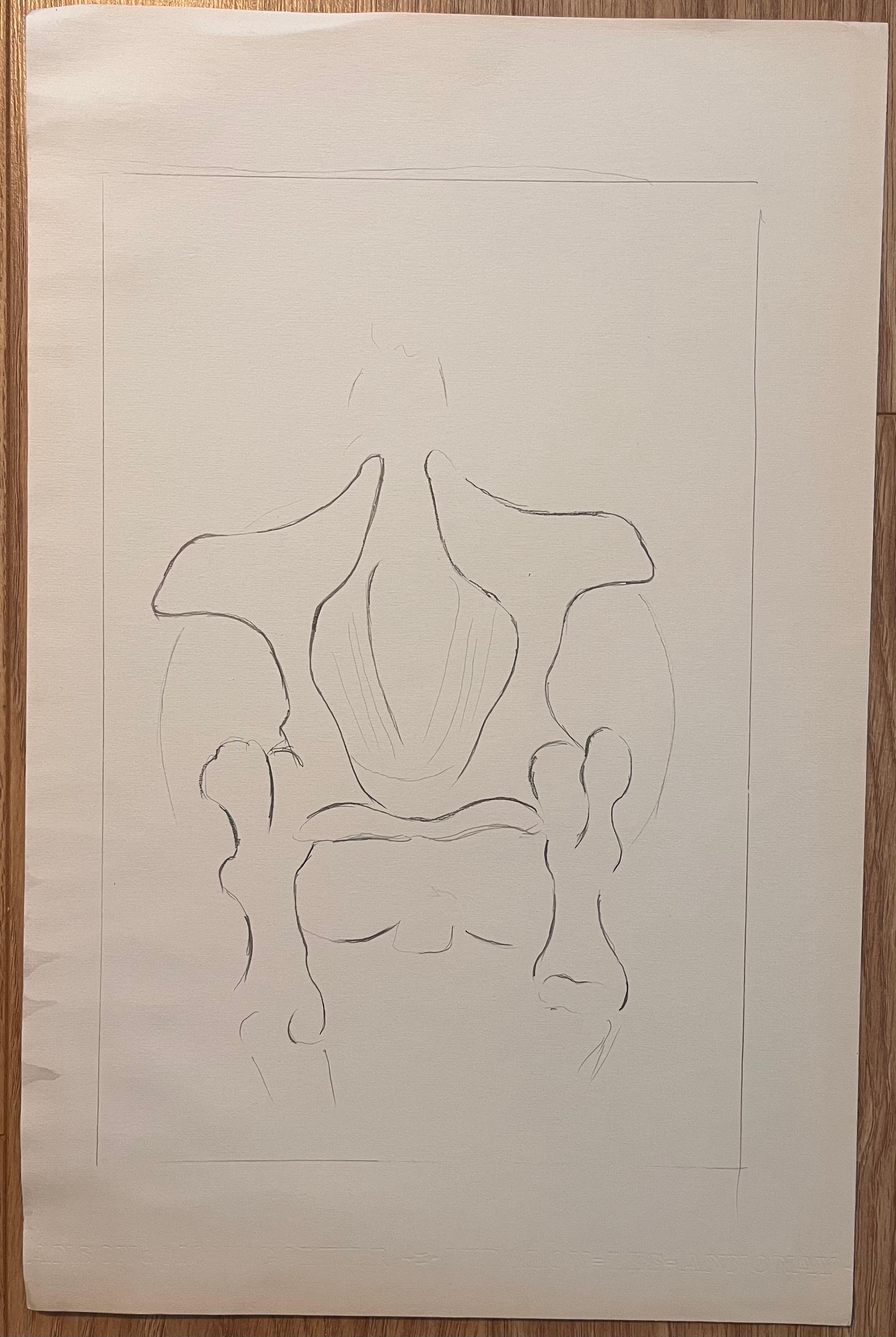 Estudio anatómico original francés de la cintura pélvica del caballo - Art de Robert Ladou