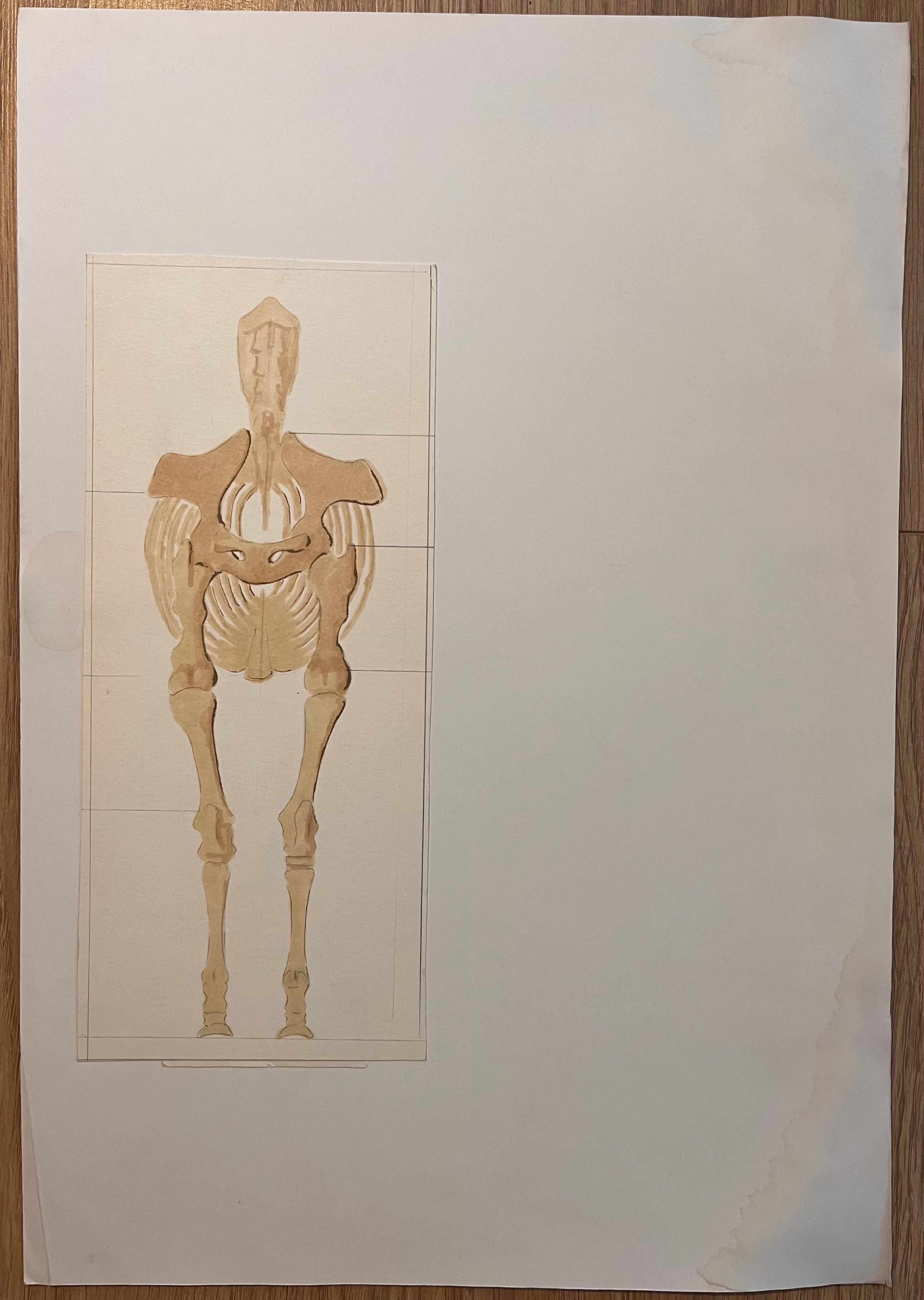 Estudio anatómico original francés sobre la estructura esquelética del caballo - Art de Robert Ladou