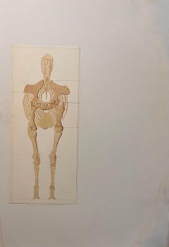Original French Anatomical Study of Horse's Skeletal Structure