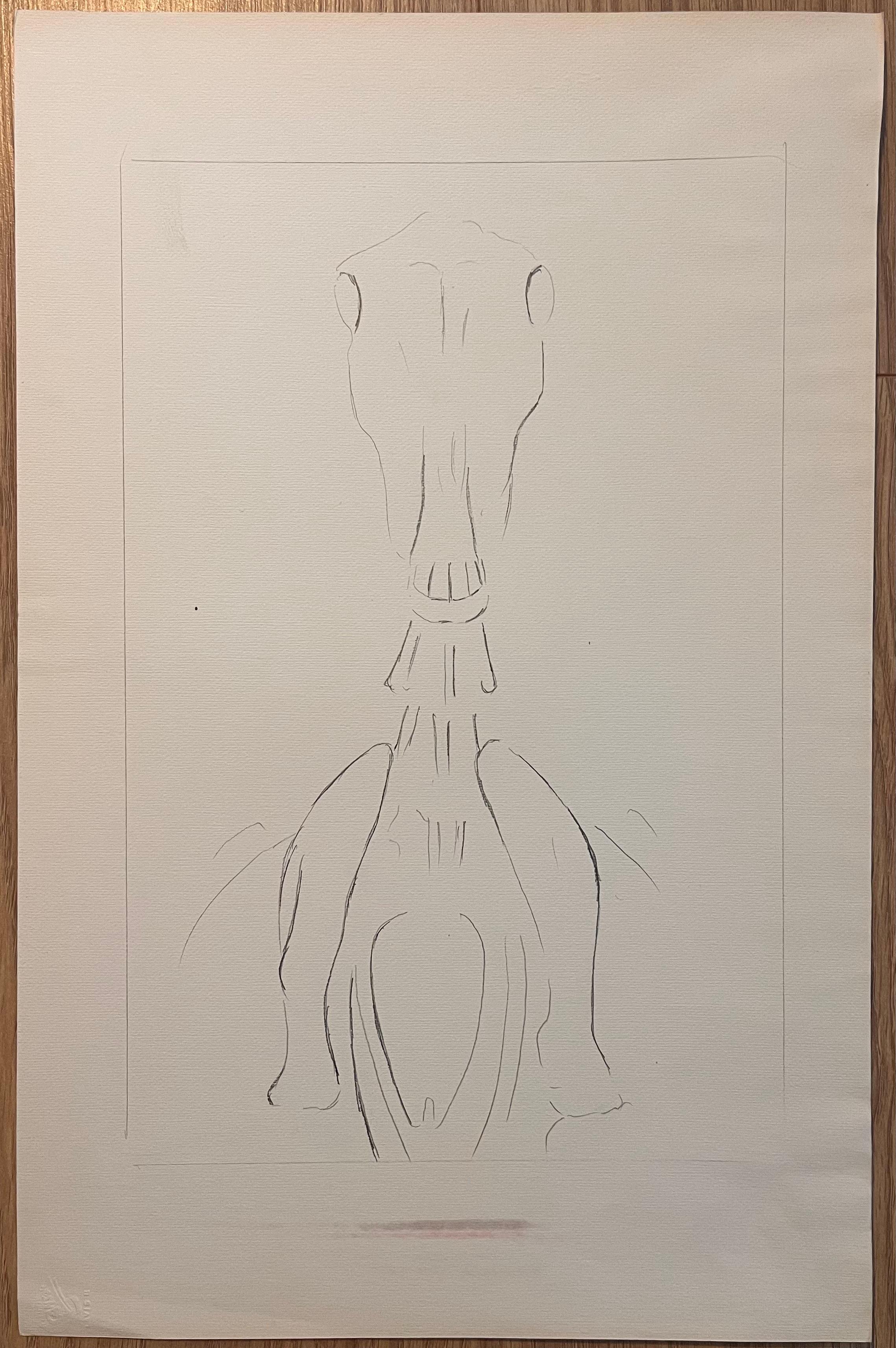 Studio anatomico originale francese del cranio e delle vertebre cervicali del cavallo - Art di Robert Ladou