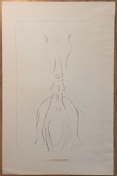 Original French Anatomical Study of Horse's Skull and Cervical Vertebrae