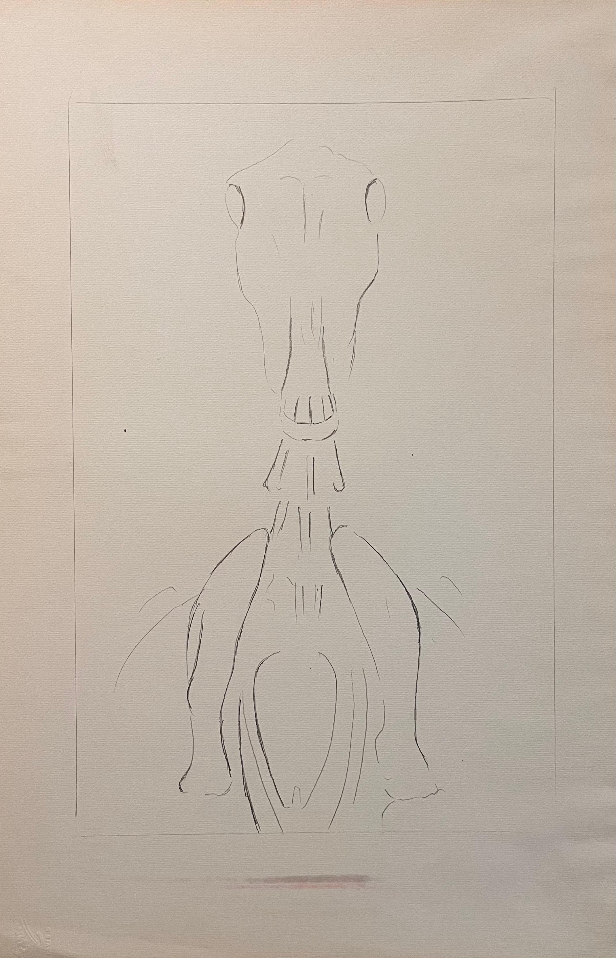 Animal Art di Robert Ladou - Studio anatomico originale francese del cranio e delle vertebre cervicali del cavallo