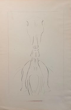 Original französische Anatomische Studie des Pferde Totenkopfs und keramische Vertebrae