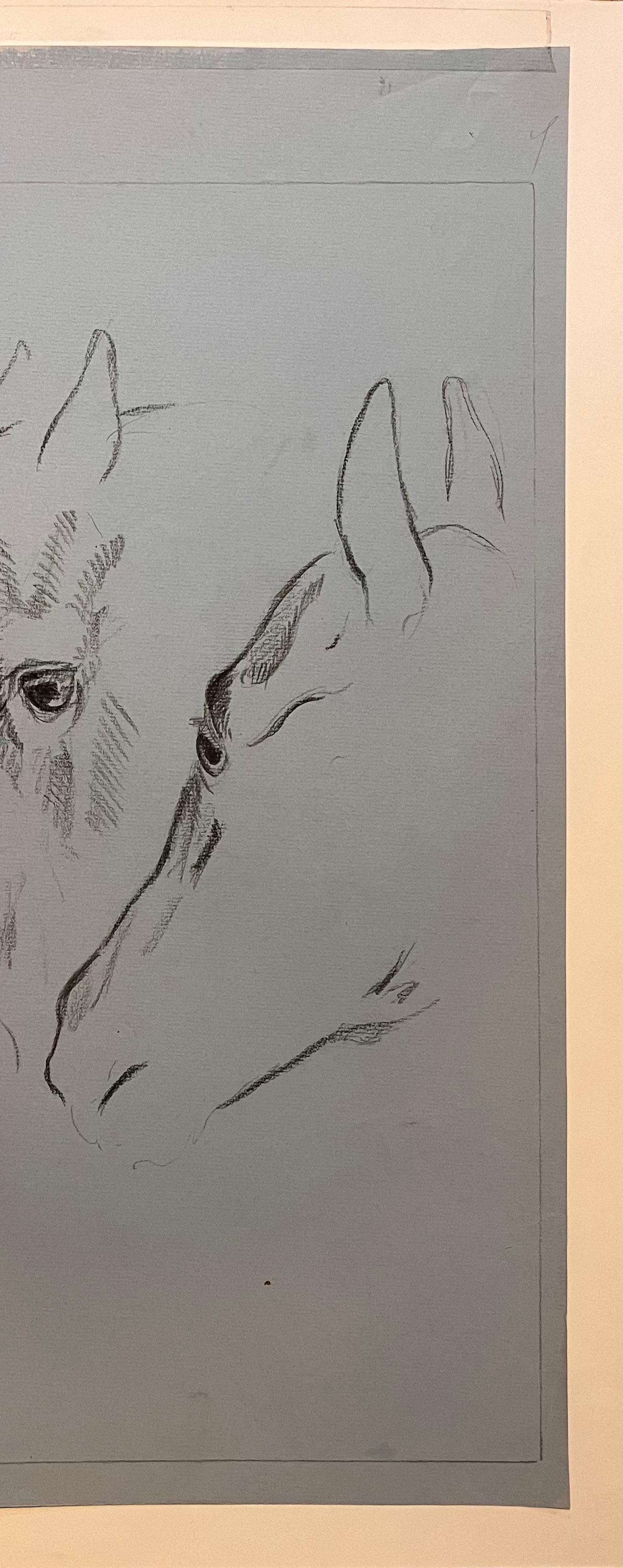 Studio del movimento della testa di un cavallo di Robert Ladou in vendita 4