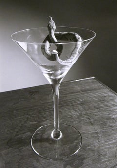 Copperhead Martini - Surreal black & white silver gelatin snake in glass