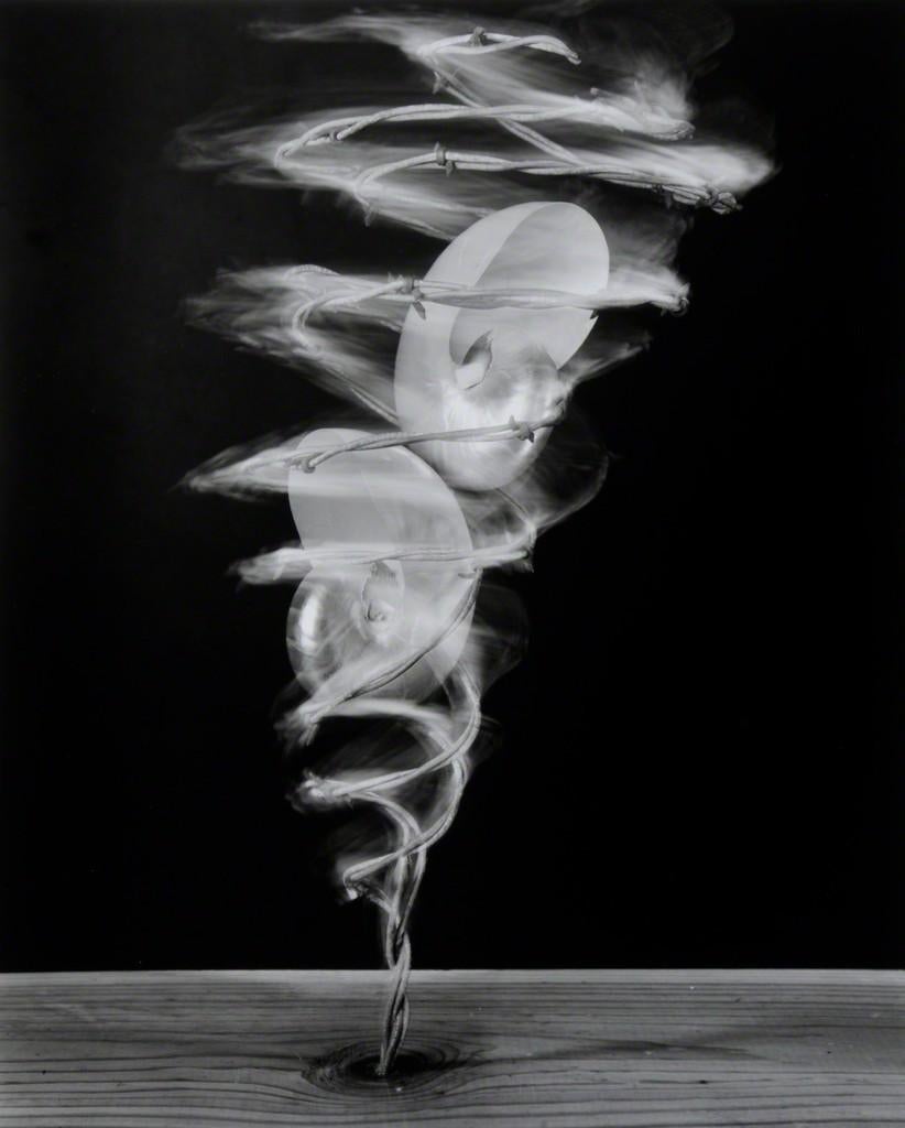 Robert Langham Black and White Photograph – Double Nautilus - Silver gelatin black & white still life with shells & tornado