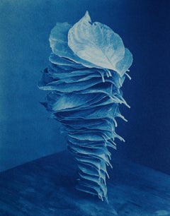 Fallen Stacked Dogwood Leaves - Surreal blue cyanotype still life with leaf pile