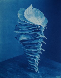 Surrealist Color Photography