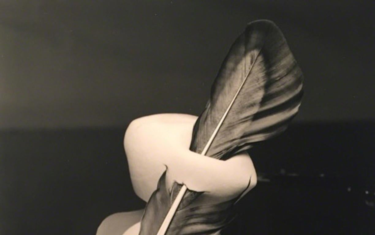 Feathered Magnolia - Surreal silver gelatin magnolia flower bloom, bird feather - Photograph by Robert Langham
