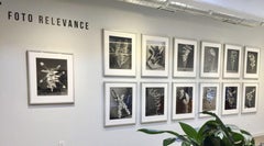 Feathered Nautilus - Surreal silver gelatin shell w/ feathers balanced on vessel