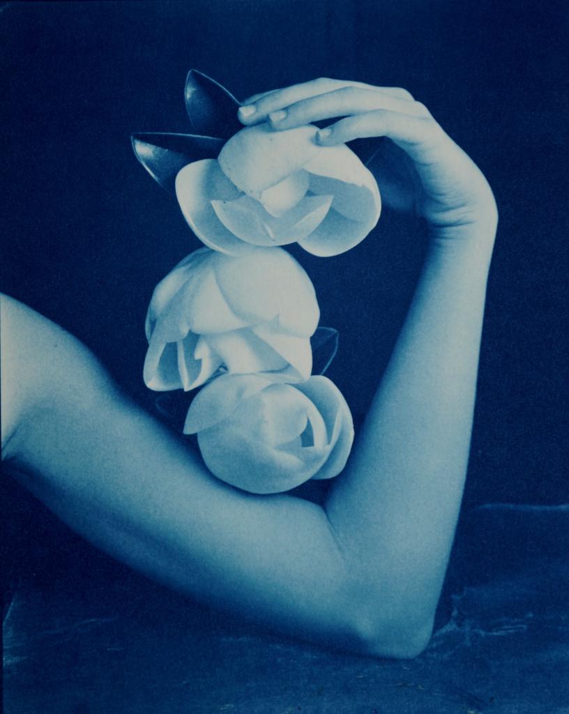 Robert Langham Figurative Photograph - Triple Magnolia - Surreal blue cyanotype, magnolia flower blooms in elbow crook