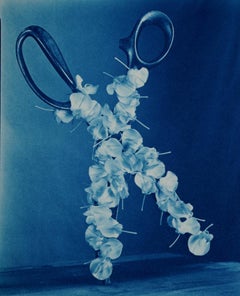 Wisteria Scissors - Surreal blue cyanotype w/ wisteria flower petals on scissors