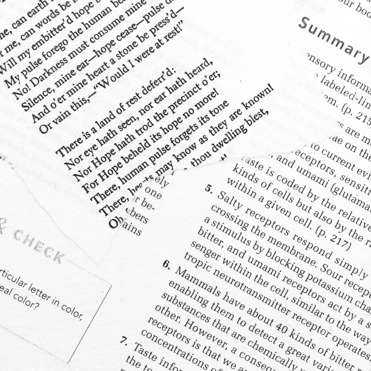 A Fragile Interdependence 3