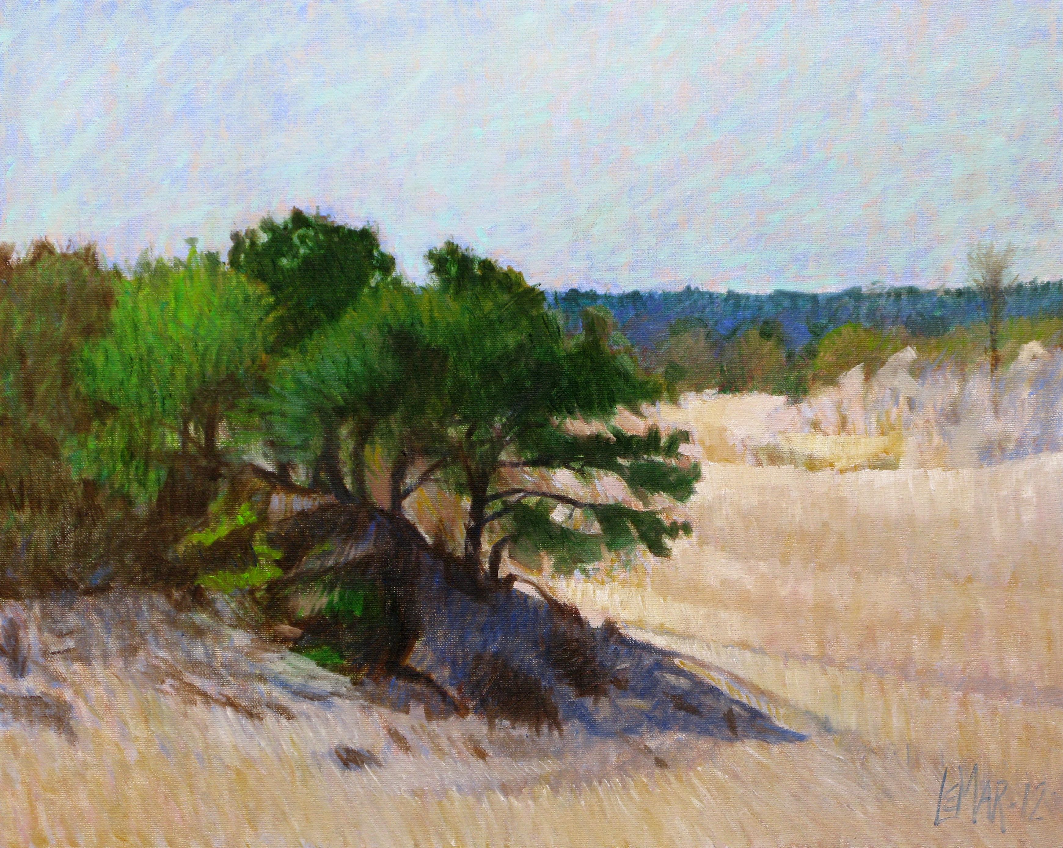 Sand dunes near Cape Henlopen Delaware. :: Painting :: Realism :: This piece comes with an official certificate of authenticity signed by the artist :: Ready to Hang: Yes :: Signed: Yes :: Signature Location: Lower Right :: Canvas :: Landscape ::