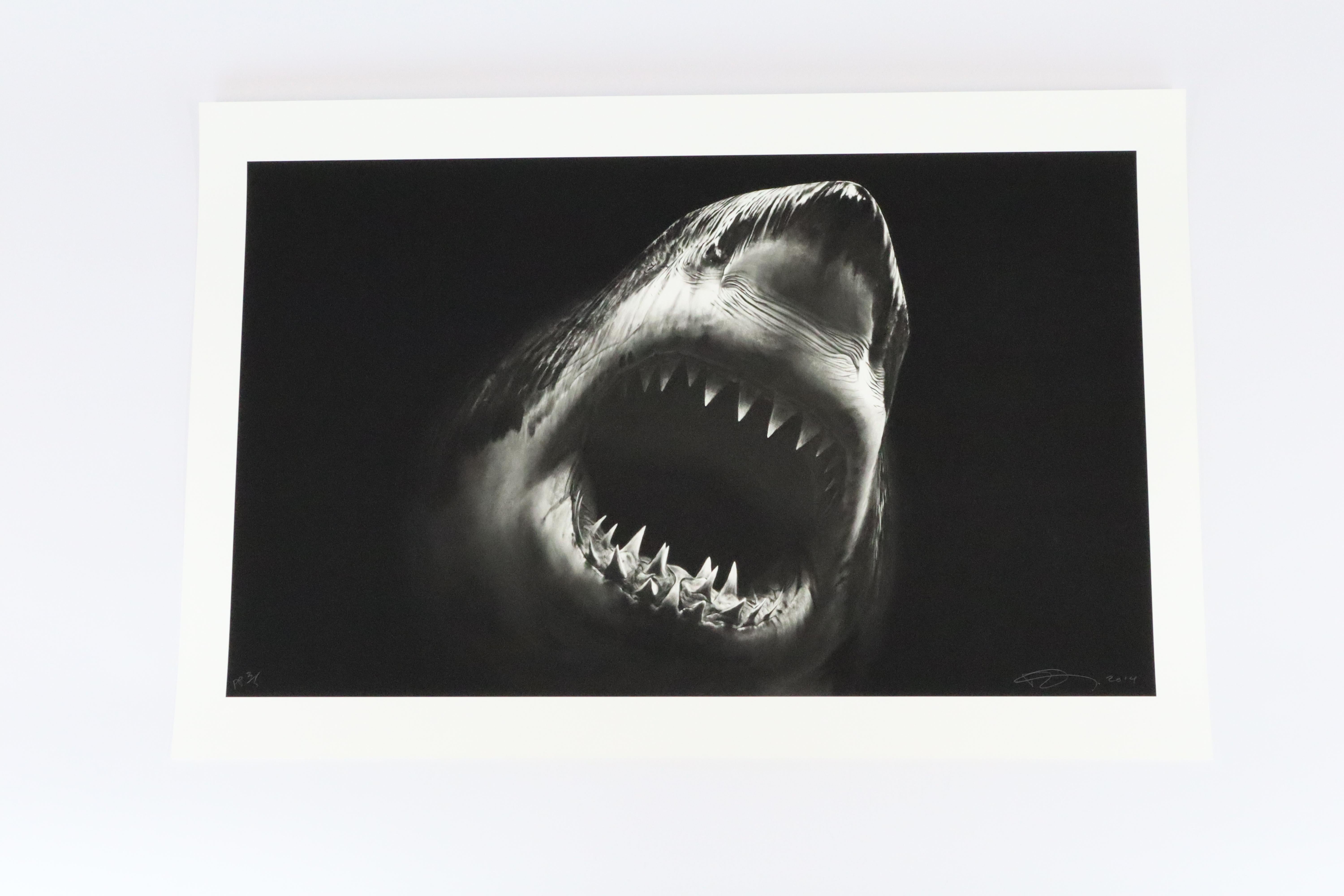 Bruce di Robert Longo, Contemporaneo, 21° secolo, Stampa, Edizione in vendita 1