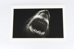 Bruce by Robert Longo, Contemporary, 21st Century, Print, Edition
