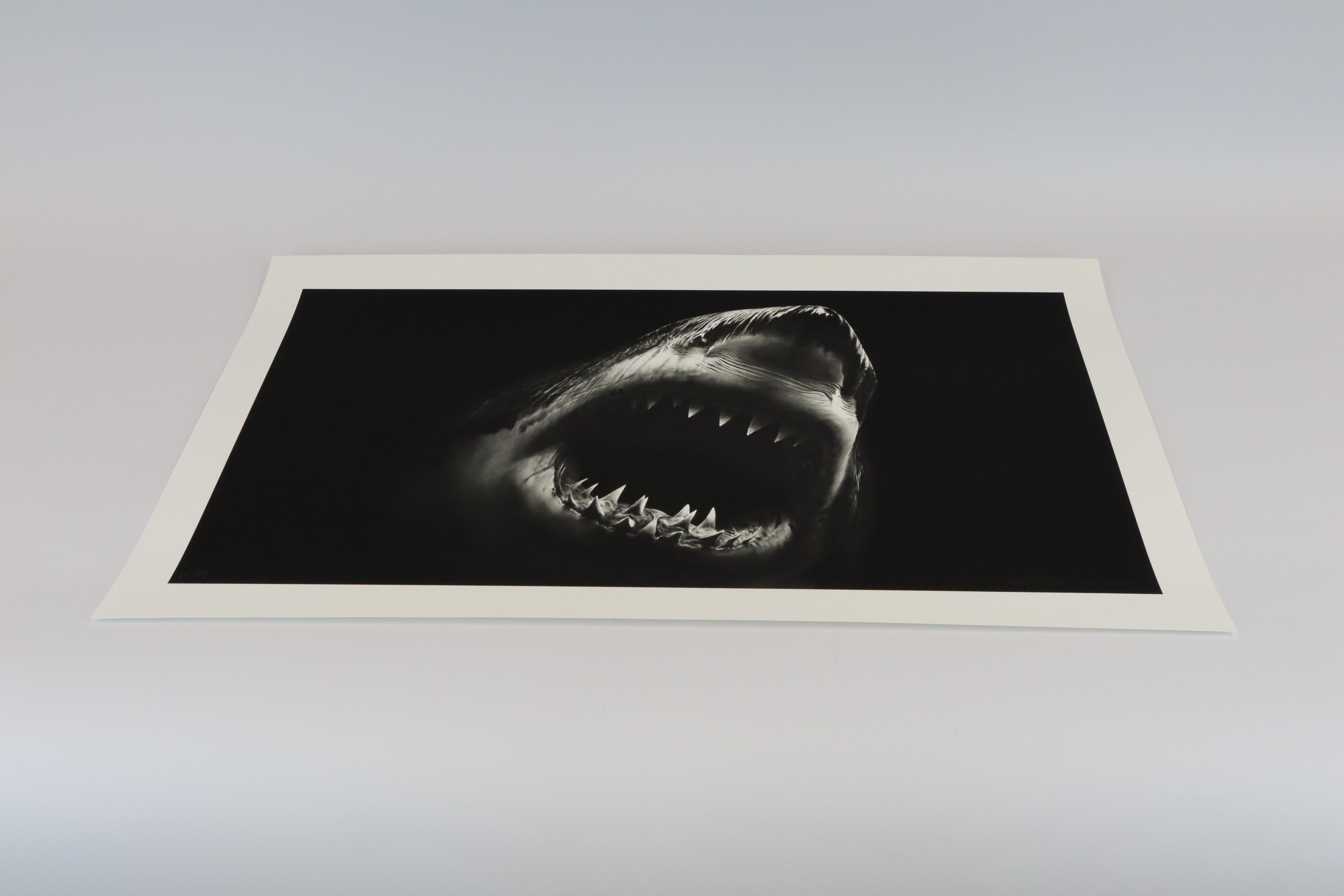 Bruce di Robert Longo, Contemporaneo, 21° secolo, Stampa, Edizione in vendita 2