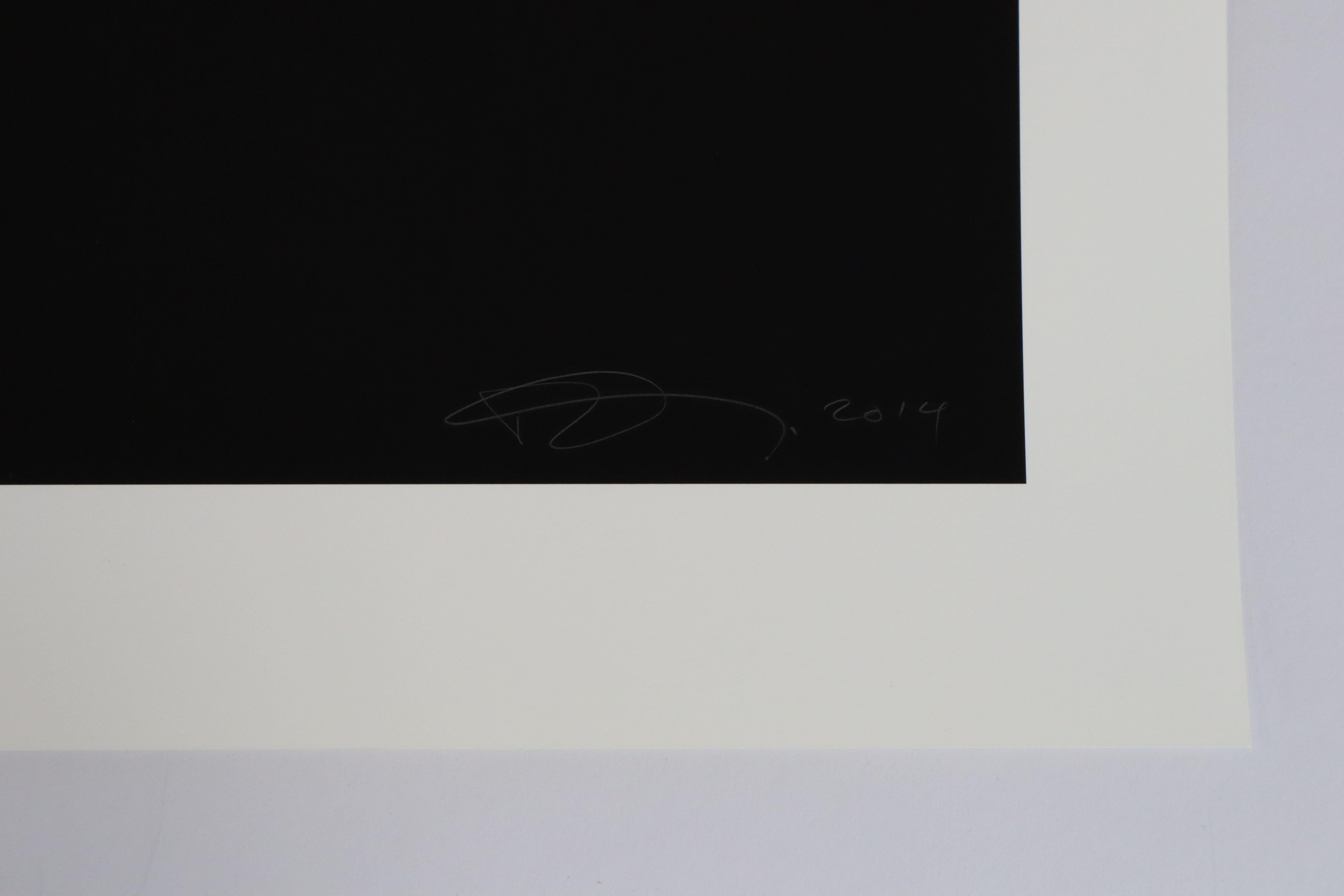 Bruce di Robert Longo, Contemporaneo, 21° secolo, Stampa, Edizione in vendita 3