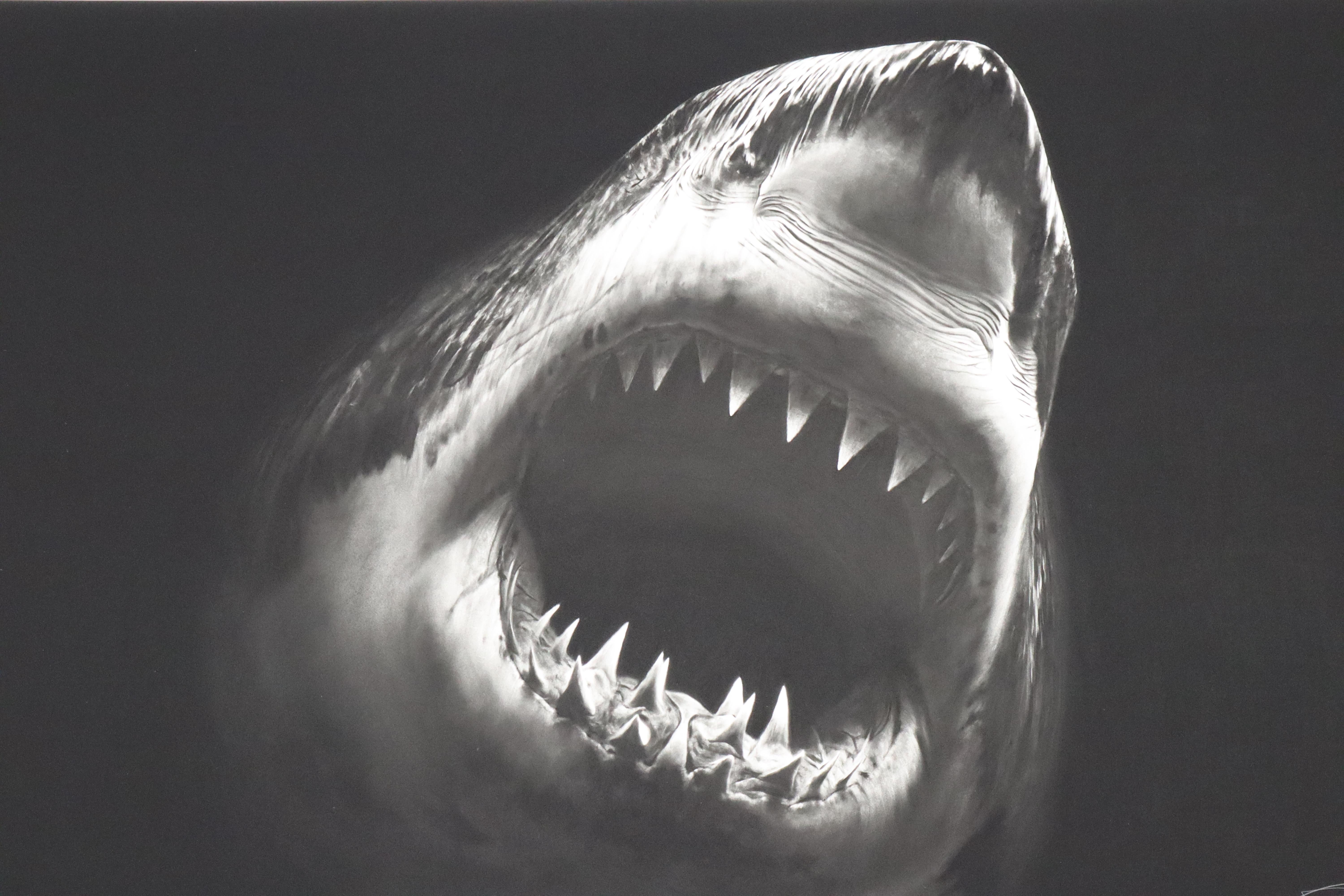 Robert Longo
Bruce
2014
Stampa a pigmenti d'archivio
50.8 × 76.2 cm
(20 × 30 in)
Firmato e numerato
Edizione: PP di 5
In ottime condizioni

NOTA BENE: I numeri di edizione potrebbero variare rispetto a quelli mostrati nelle immagini. 
Le immagini