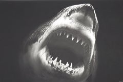 Bruce de Robert Longo, Contemporáneo, Siglo XXI, Impresión, Edición