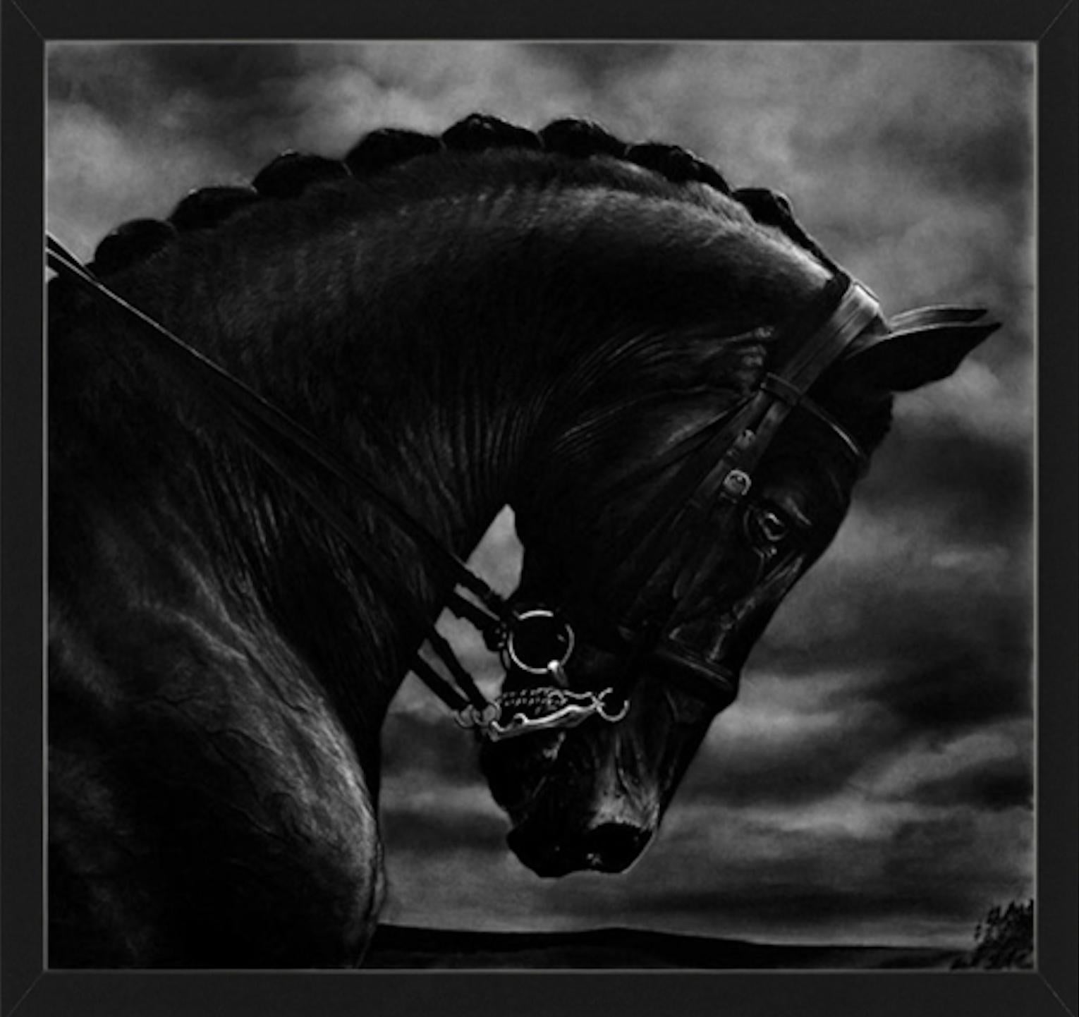 Robert Longo Animal Print - Bucephalus