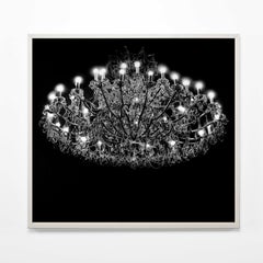 Crystal Chandelier - Contemporary, 21st Century, Print, Limited Edition, Black