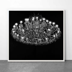 Crystal Chandelier - Contemporary, 21st Century, Print, Limited Edition, Black 