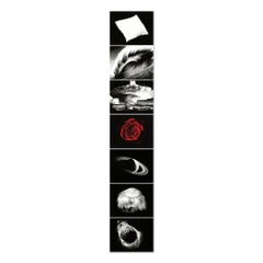 Essentials, Contemporary Art, 21st Century, Photorealistic Art