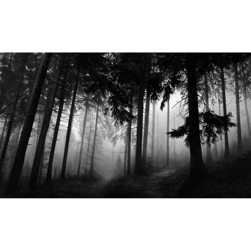 Fairmount Forest - Zeitgenössisch, 21. Jahrhundert, Pigment, Limitierte Auflage – Print von Robert Longo