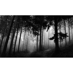 Fairmount Forest - Contemporaneo, 21° secolo, Pigmento, Edizione limitata