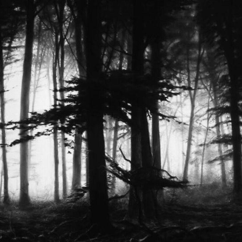 Robert Longo, Fairmount Forest
Zeitgenössisch, 21. Jahrhundert, Pigment, Limitierte Auflage
Pigmentdruck
Auflage von 25 Stück
90,6 x 152,2 cm (35.6 x 59.9 in.)
Signiert, begleitet von einem Echtheitszertifikat
In neuwertigem Zustand, wie vom Verlag