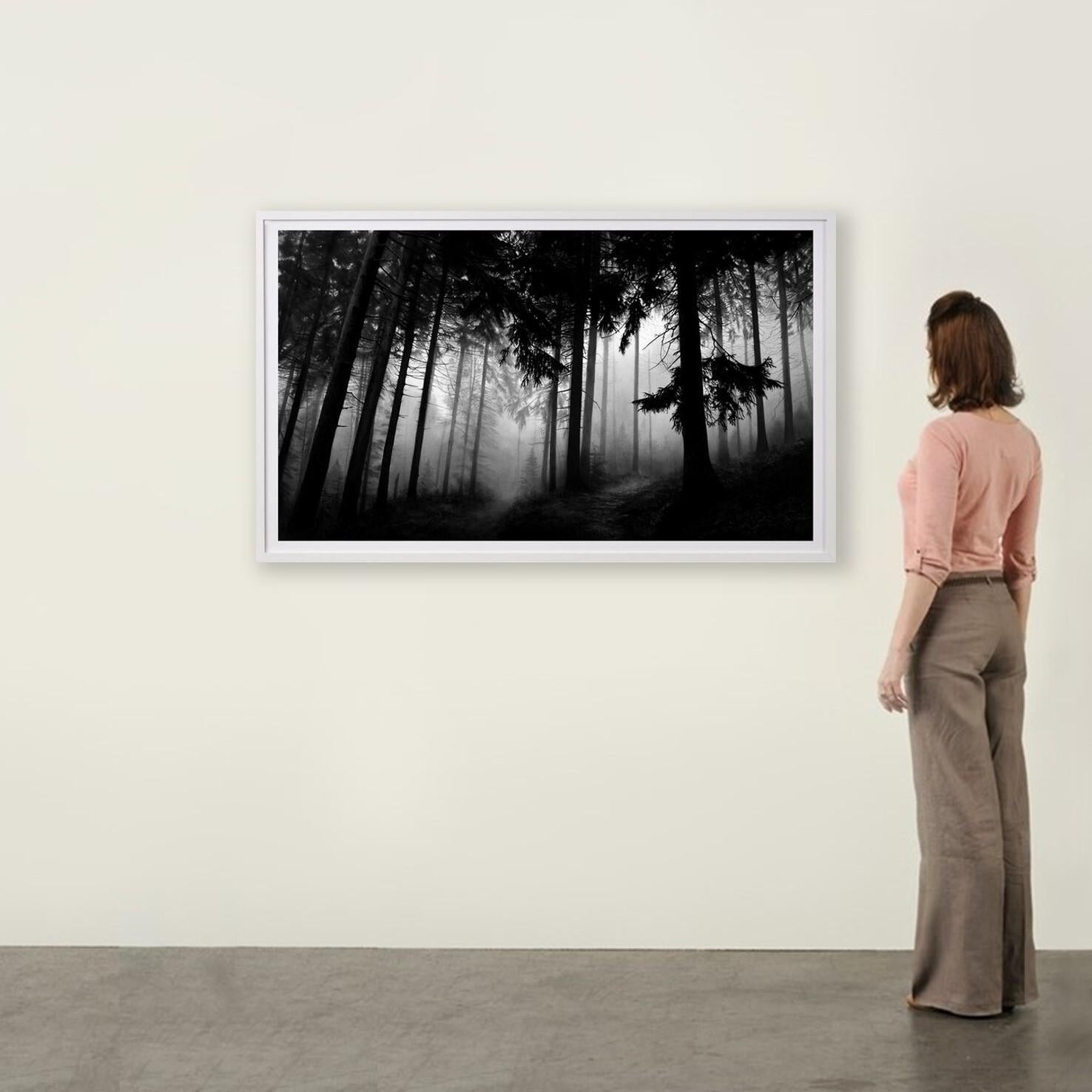 Fairmount Forest - Zeitgenössisch, 21. Jahrhundert, Pigment, Limitierte Auflage im Angebot 1