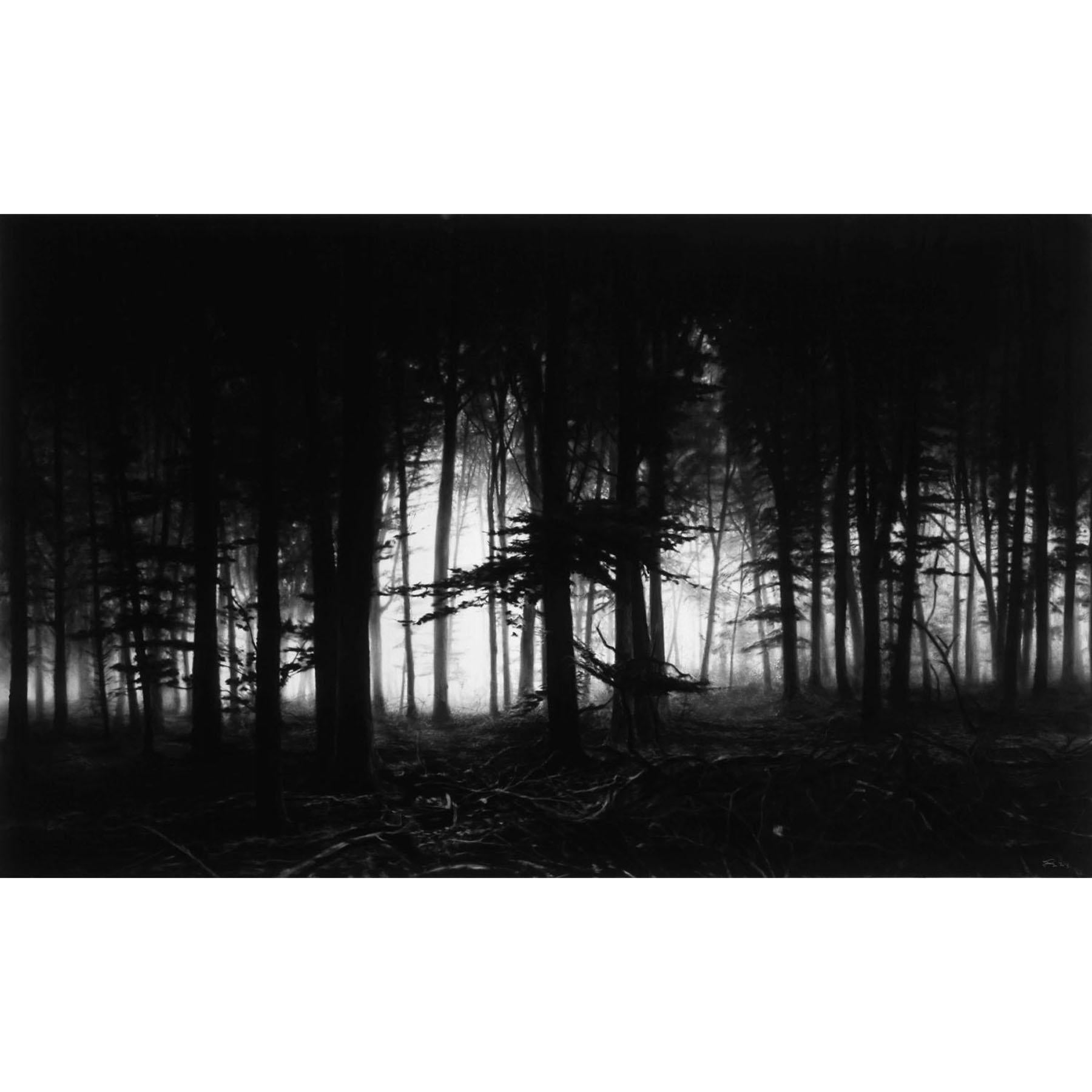 This mythological woodland hints at the enigma and emotions of nature with a masterful use of chiaroscuro.

Robert Longo, Forest of Doxa
Contemporary, 21st Century, Pigment Print, Limited Edition
Pigment print
Edition of 25
93,4 x 151,7 cm (36.7 x