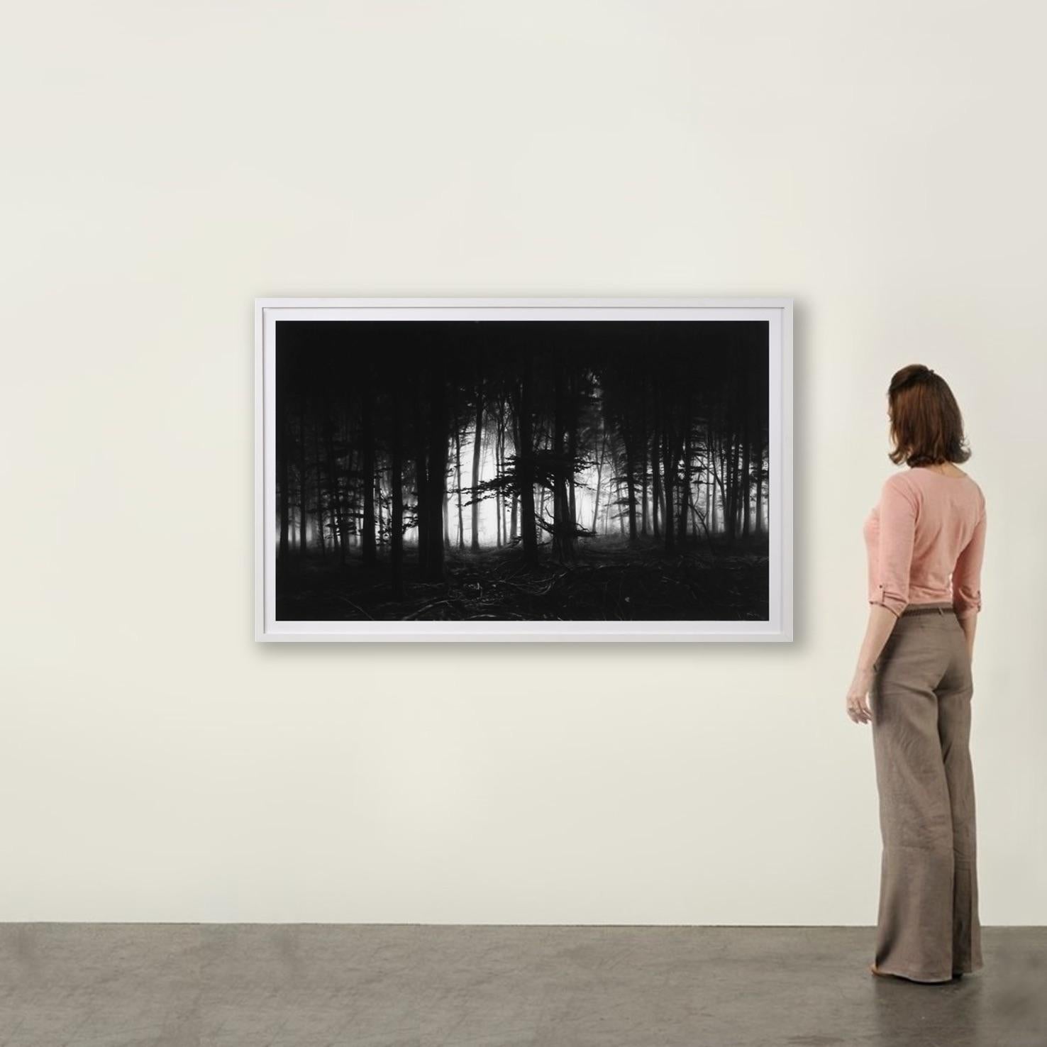La forêt de Doxa - Contemporary, 21st Century, Pigment Print, Limited Edition en vente 1