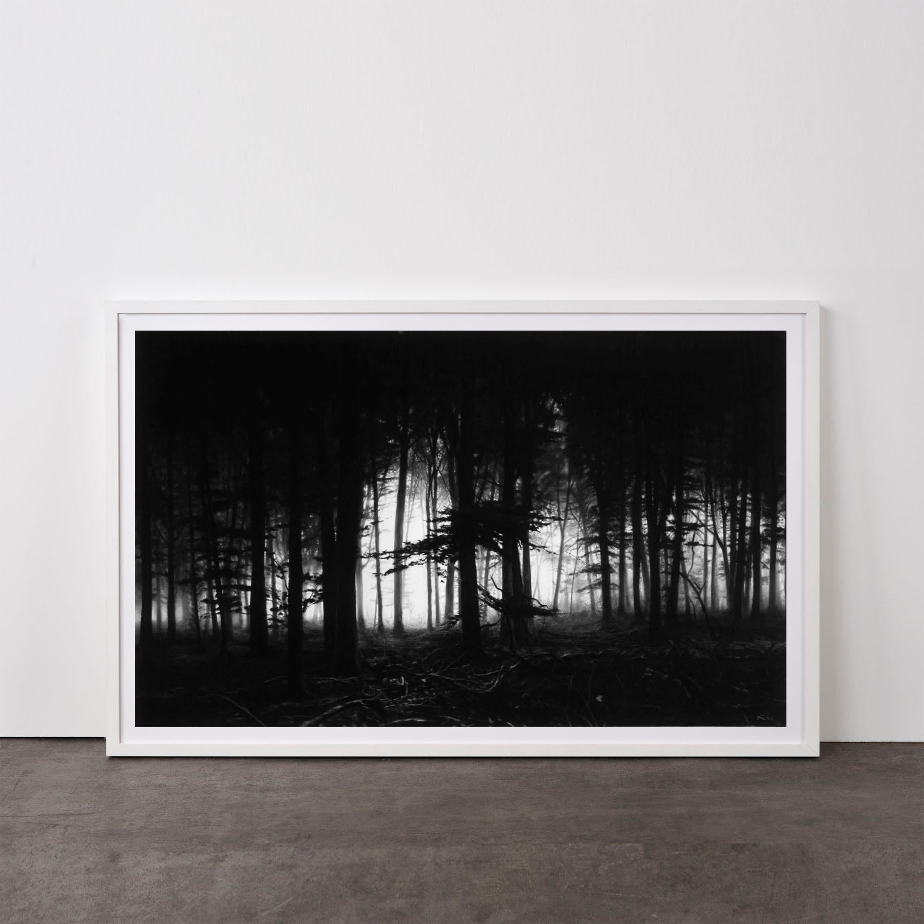 Robert Longo Landscape Print - Forest of Doxa - Contemporary, 21st Century, Pigment Print, Limited Edition